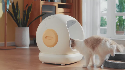 Самопочистваща се тоалетна за котки UBPET C20